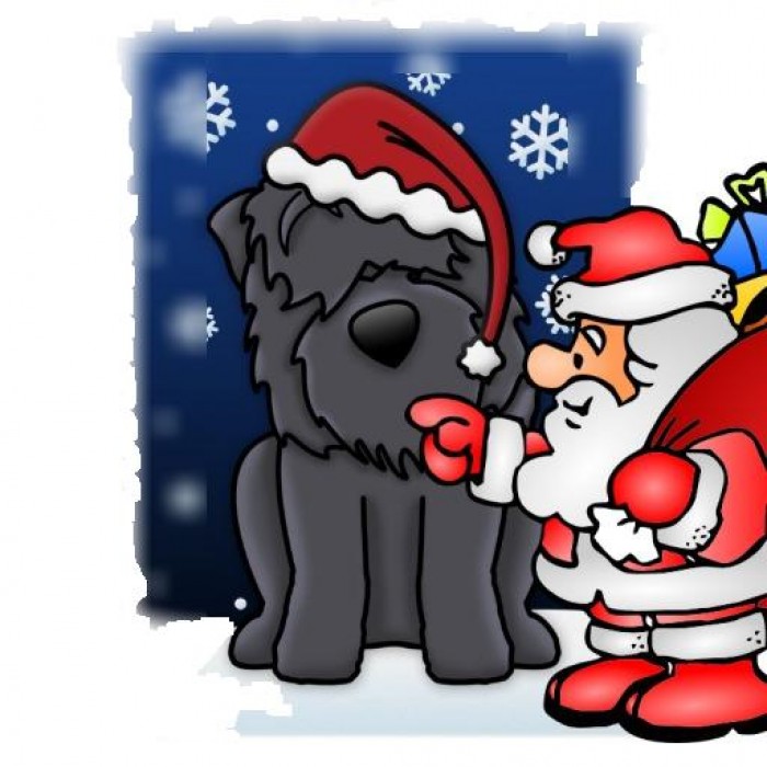 kawaii black russian terrier christmas card rb5a7900baf994bc593aee6921acc6a88 xvuat 8byvr 512 PerfectPhoto.cz 2016 11 20 20 13 10