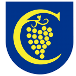 kv logo fb