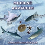 Turné Živé žraloky v mobilnom akváriu
