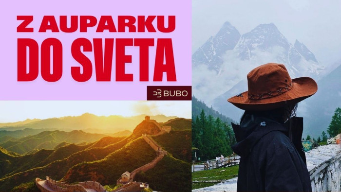 bubo nl