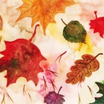 leaf maple leaves red leaf autumn leaf autumn leaves oak leaf watercolor dead leaf 865708.jpgd