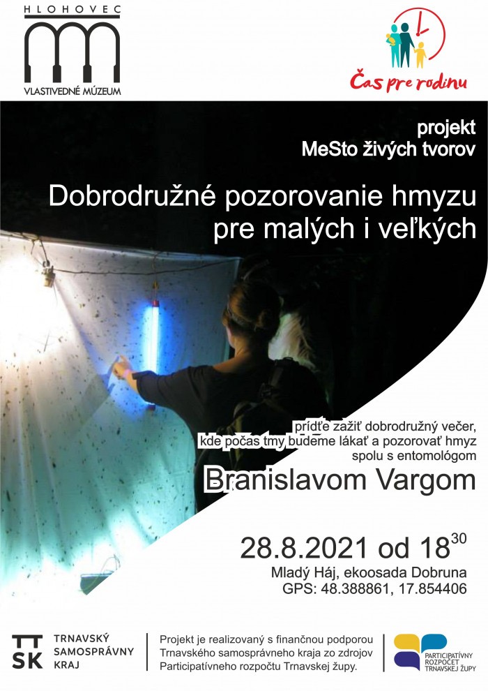 Nocne pozorovanie plagat