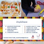 Zmyslohranie01