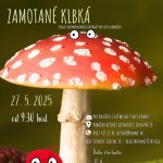 zk 849x1200