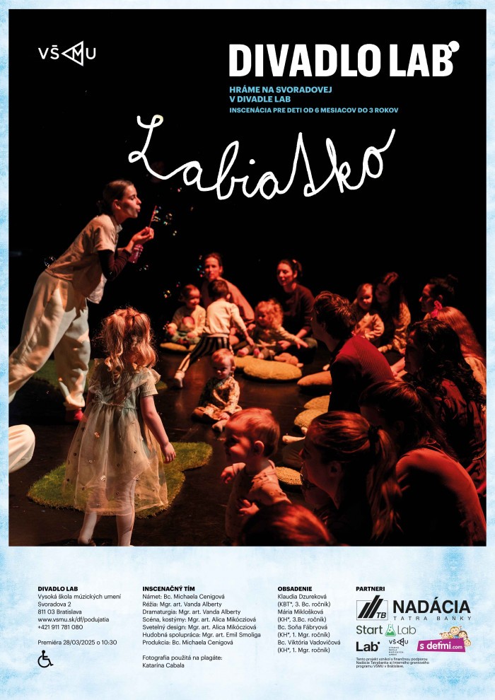 LABIATKO VSMU Lab Studio 1 Layout A3 1 11zon