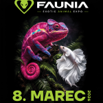 PLAGAT A3 FAUNIA 8 3 2026