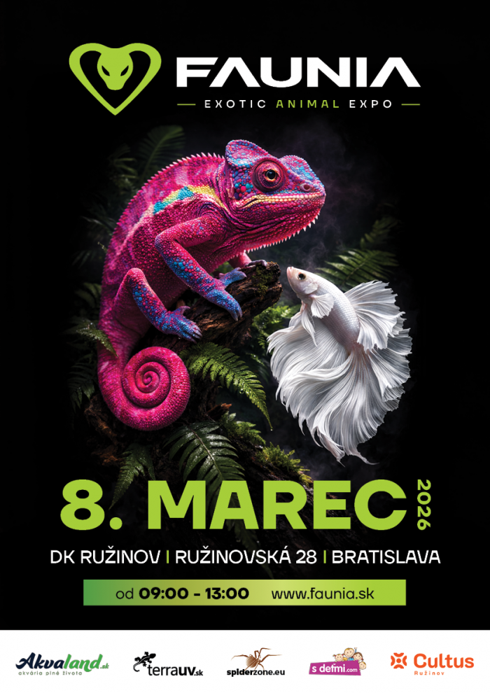 PLAGAT A3 FAUNIA 8 3 2026