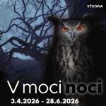 compress onlineV moci noci plagat