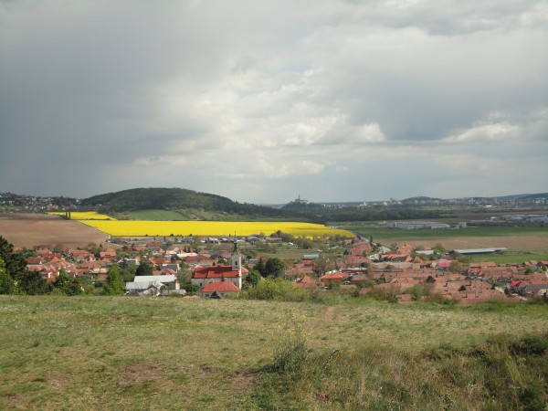 DSC07687