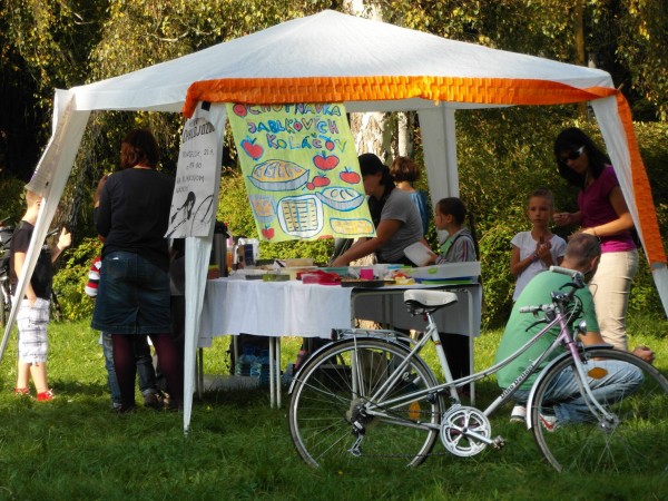 12823285 455692064556152 1474758220309947579 o