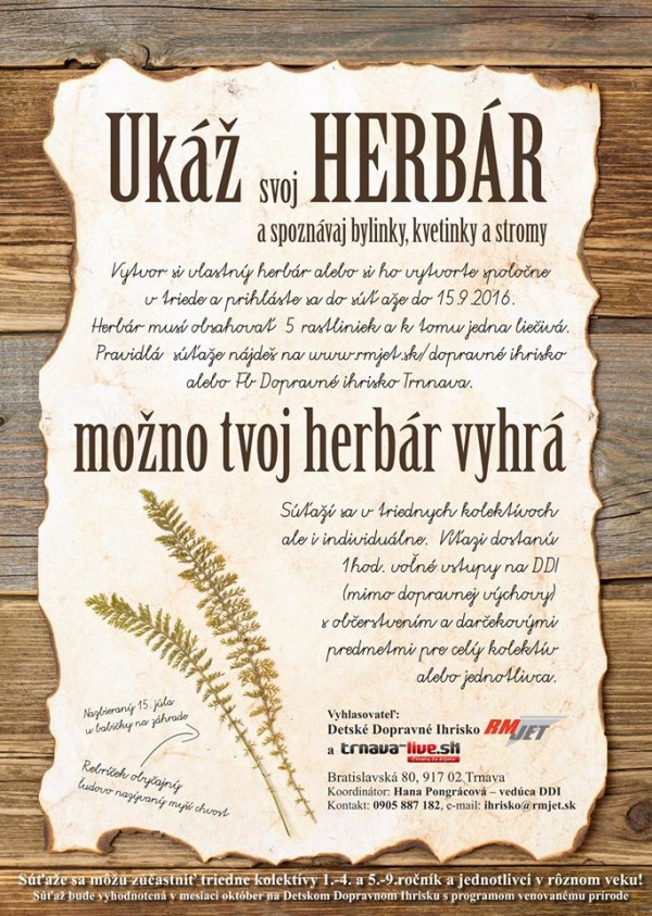 13582055 1577105629254545 1098252410100681328 o