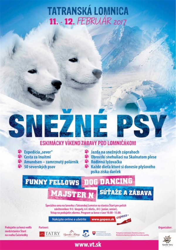 snezne psy A21