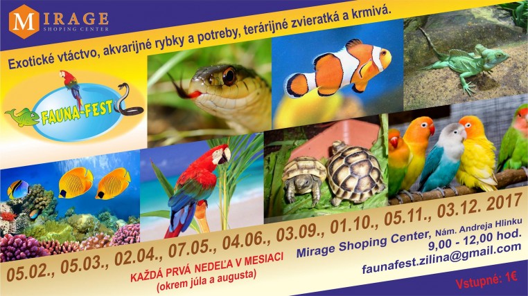 17098081 1417158735003468 516128866221243189 o