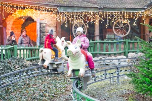 Schweinchenbahn WeihnachtencSchuller
