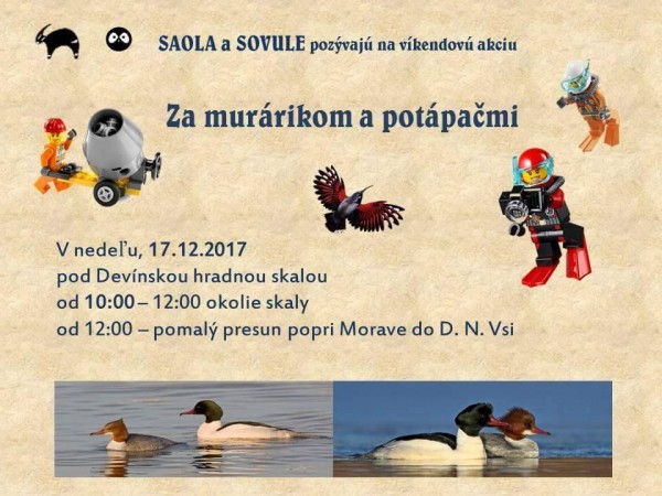 sovule2