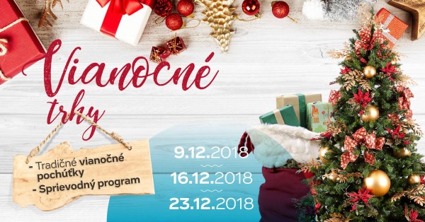 46214646 1568788593264524 7452640471928537088 o