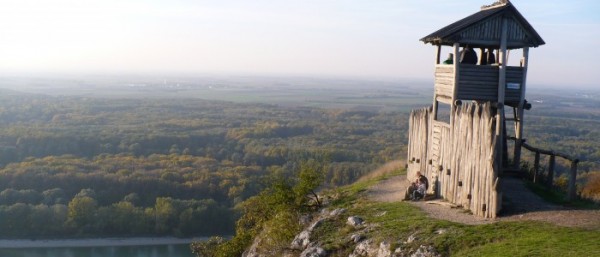 ResizedImage600257 braunsberg