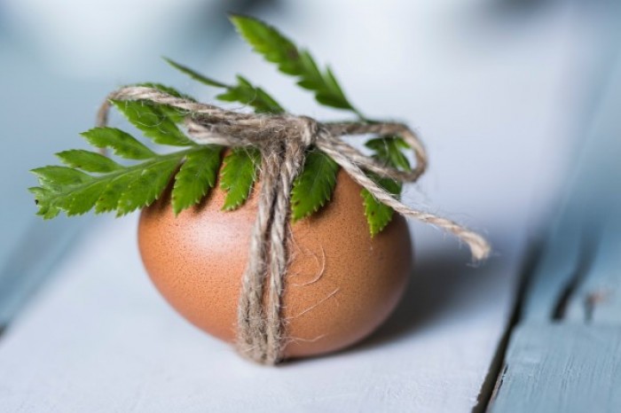 ResizedImage600400 easter egg egg leaf 1212235