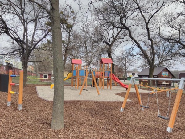 55564477 2824977394185892 4154608507796062208 n