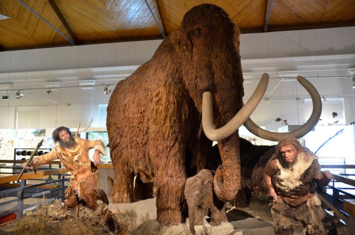 mamut