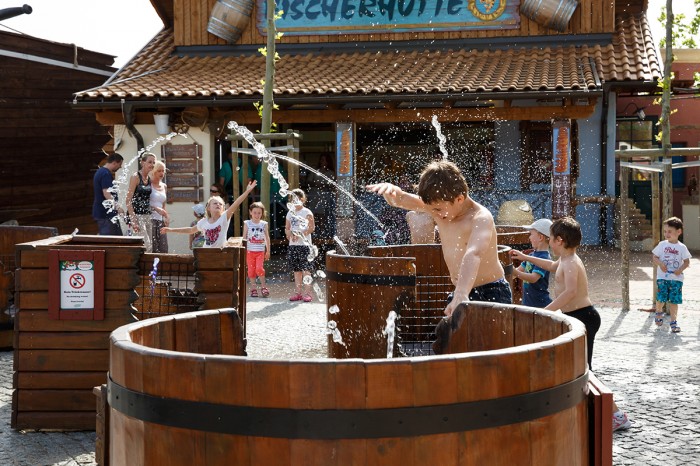 FP SpringendeWasser cHollunder Druck