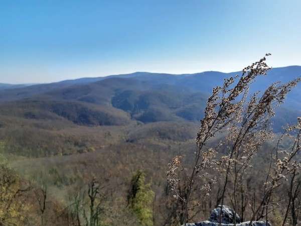 IMG 20191027 121638707 HDR 1