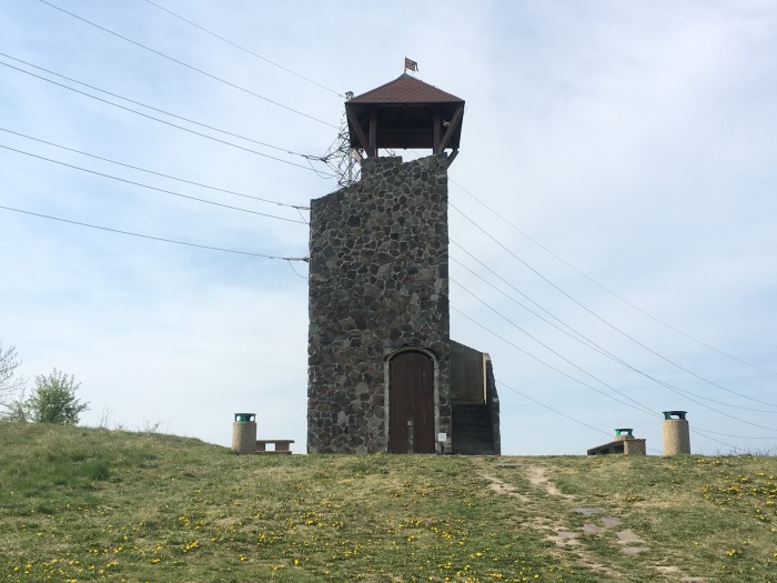 IMG 7639