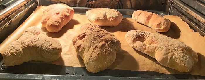 96380162 534373493920503 3298621761926463488 n