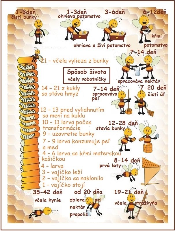95378059 762959100775477 8682390553389694976 n