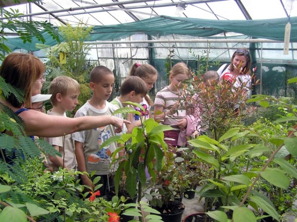 Botanicka