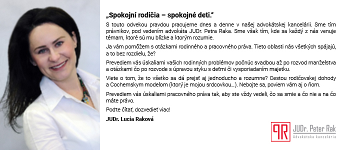 vizitka