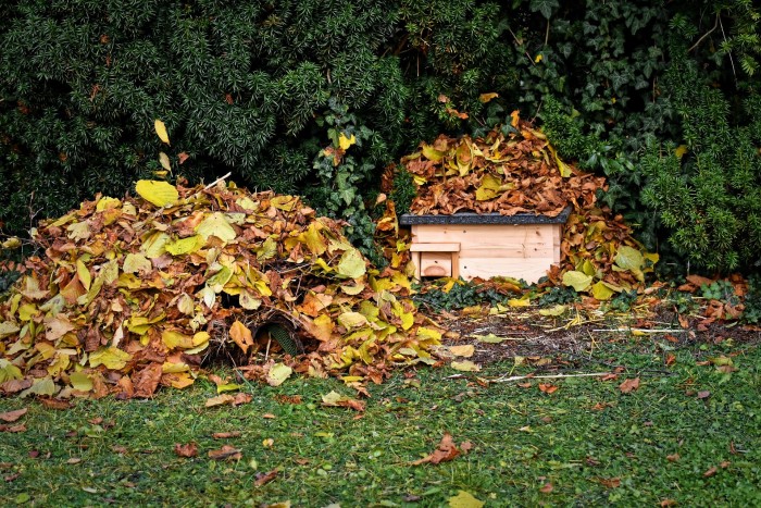 hedgehog houses 4638624 1920