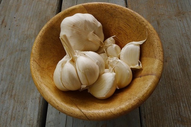 garlic 1374329 640