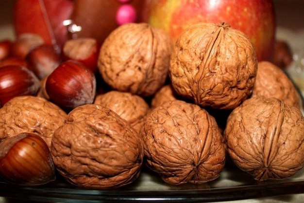 walnuts 558488 640
