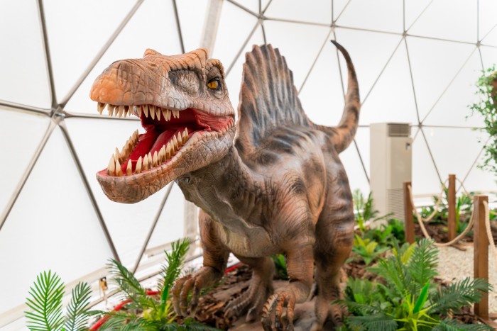 Dinopark Tatry SDE MI