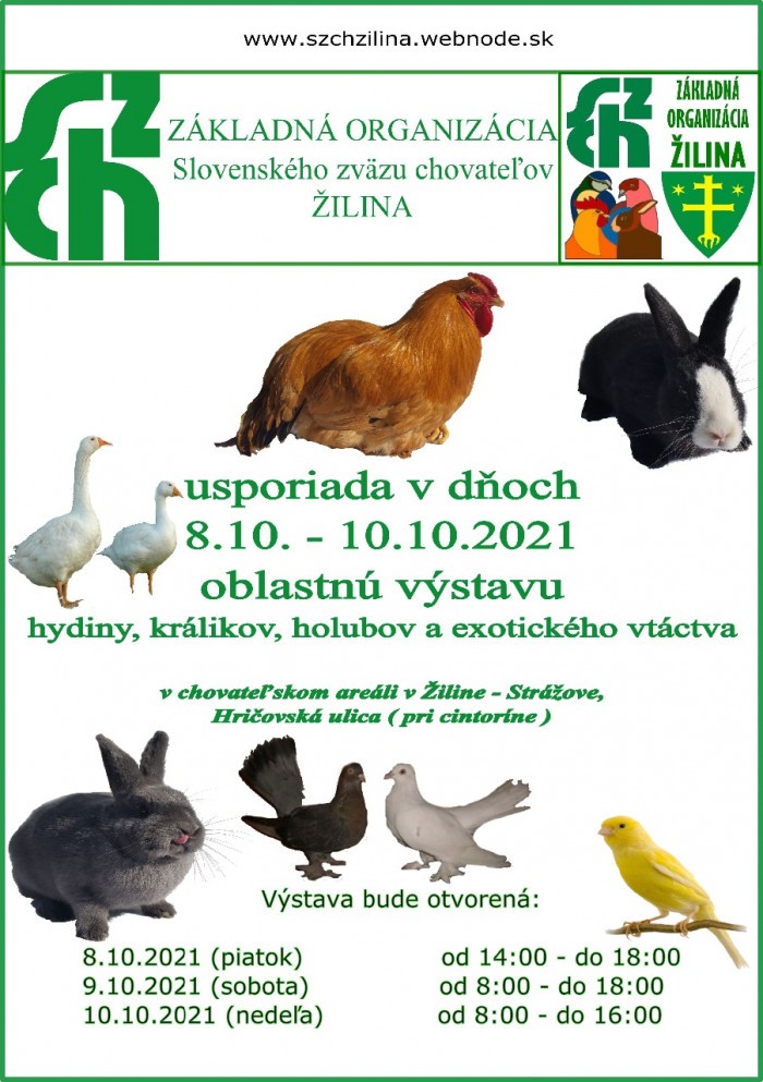 vystava 2021 2 plagat 1