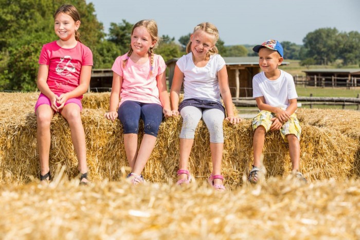 Schloss Hof Kinder Stroh Huepfburg LabyrinthcSKB Foto Astrid Knie