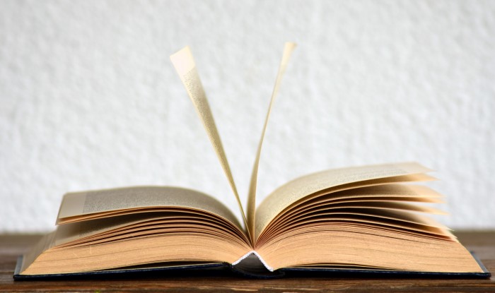 ResizedImage700415 book book pages bookcase browse 415071