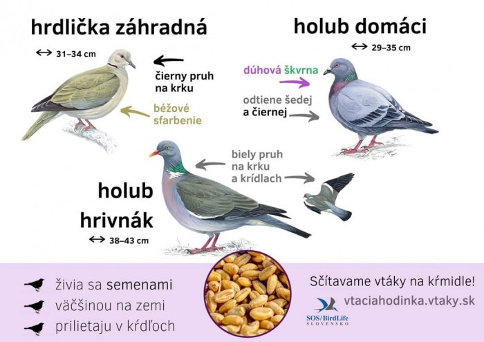 FB IMG 1704151471852