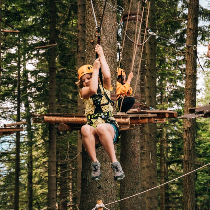 Wald 800x800 copy