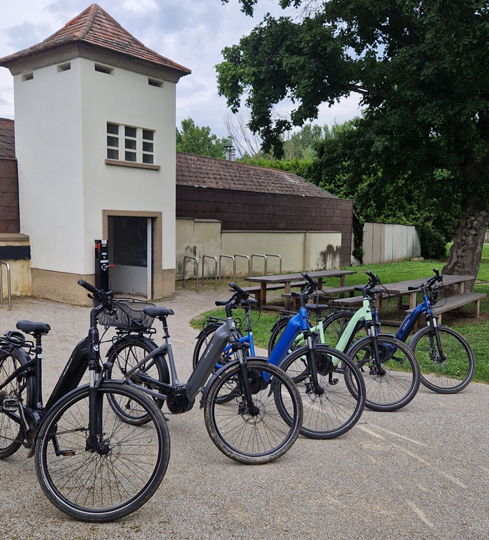 bicykle ebikes AT