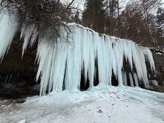 617156190 10237917161366822 3740482159063708756 n