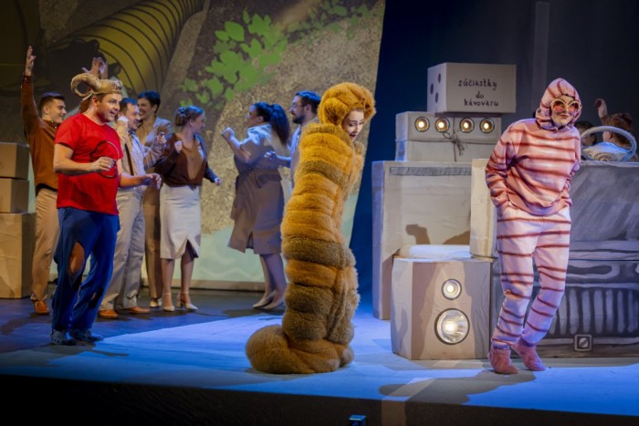 2023 10 29 muflon ancias k premiere 14