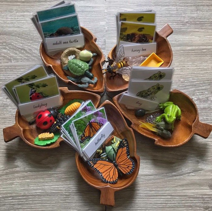 b8b1bcf75e55d681dac7c77a62ba6afb