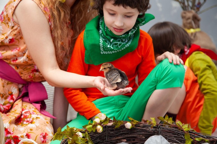 sunriseforever chick 4332110 1280