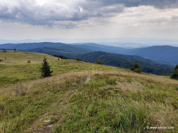 IMG 20200731 132436916 HDR