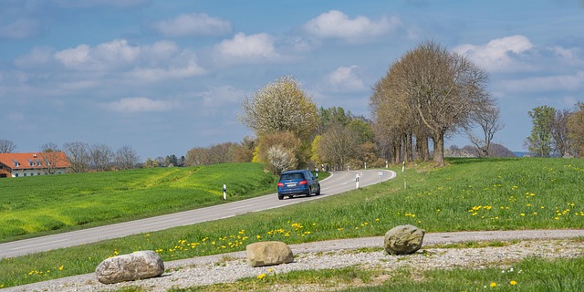 chiemseherin country road 7951899 640