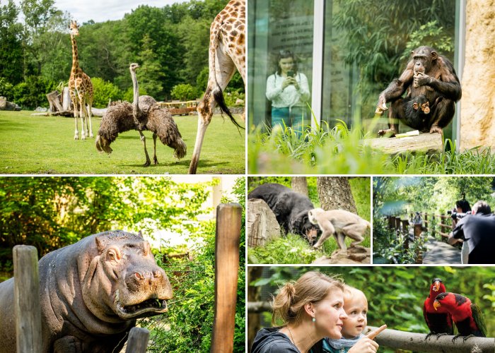 Kam cez prazdniny 700x500 zoo ostrava