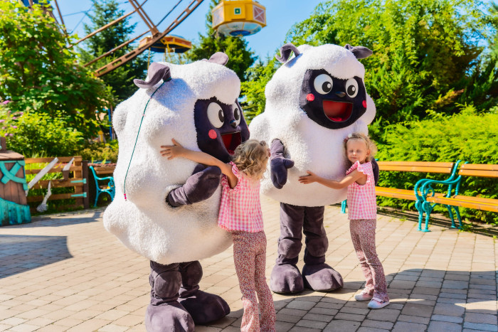 Rabkoland Owieczki Irenki fot Rabkoland