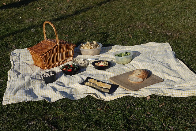 julia s picnic 4784034 640 2